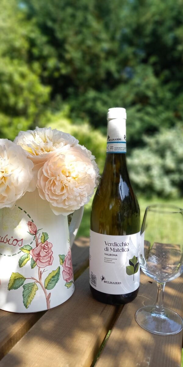 20250606_100057 20250606_100057